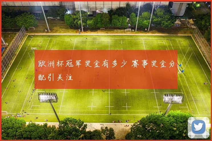 欧洲杯冠军奖金有多少 赛事奖金分配引关注