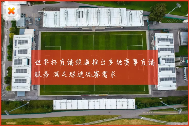 世界杯直播频道推出多场赛事直播服务 满足球迷观赛需求