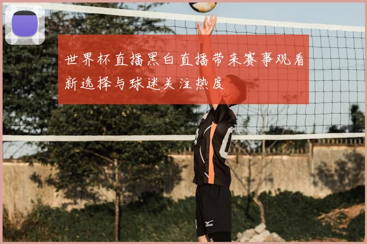 世界杯直播黑白直播带来赛事观看新选择与球迷关注热度