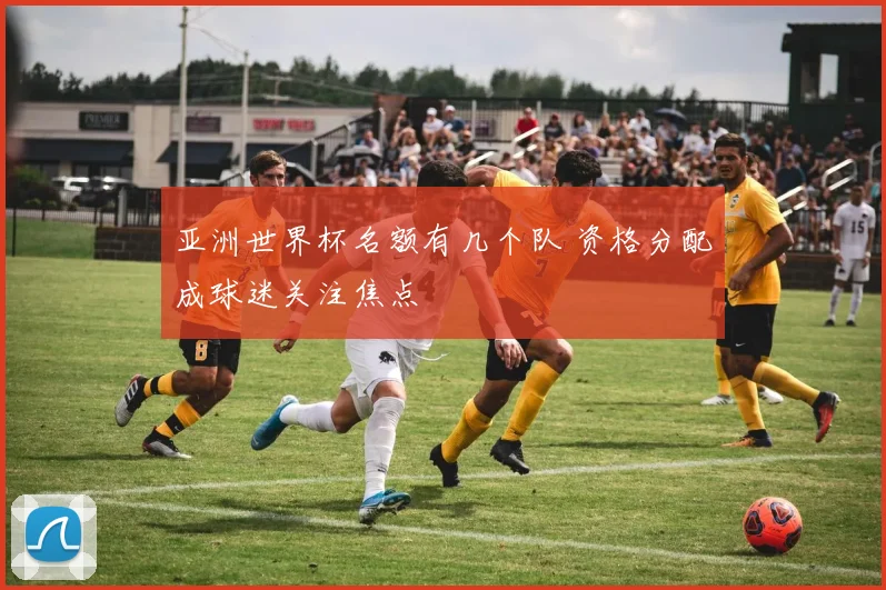 亚洲世界杯名额有几个队 资格分配成球迷关注焦点