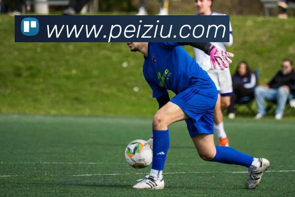 米兰体育网页官网平台生态图